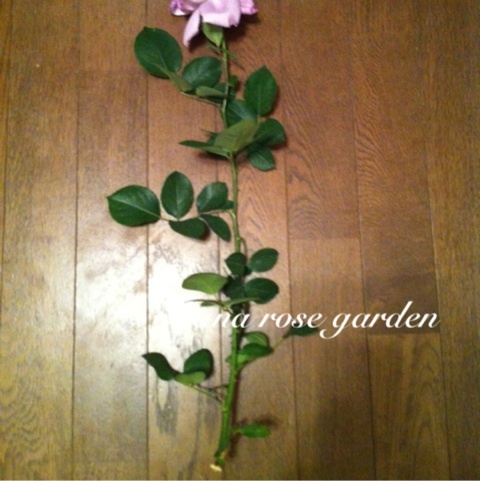 photo:03