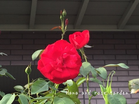 {3D7DF72B-59B3-4818-988E-3BF67BDEF6F5:01}