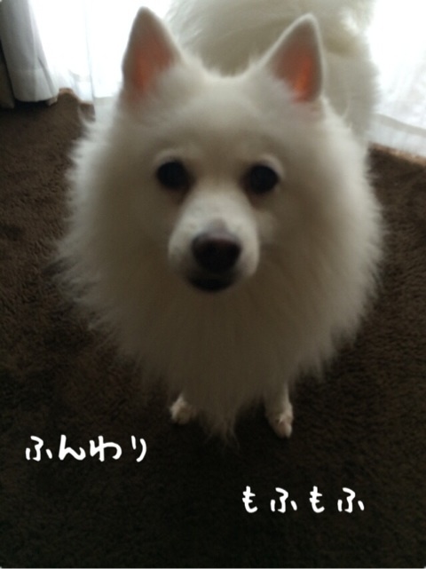 {D43233D3-541D-4013-8EB5-9DC18A6EE3D2:01}
