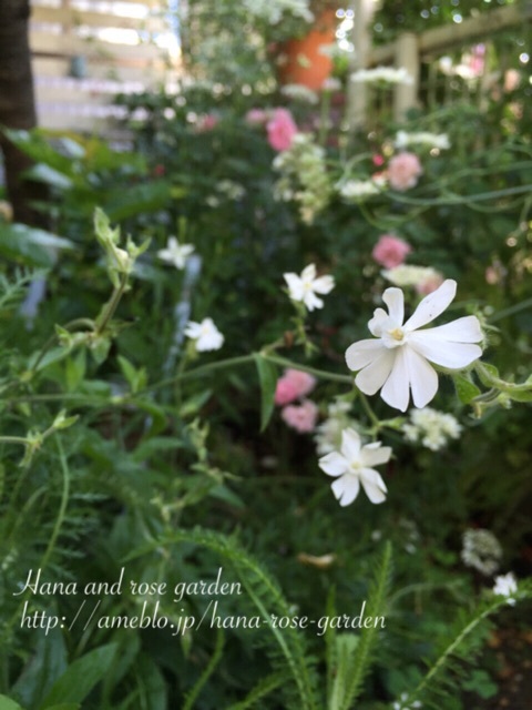 {D7164410-09DA-4318-A219-276BD815E9BF:01}