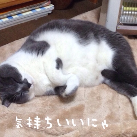 {C62E585D-A58C-4A84-8FBC-B6F6622D6F76:01}