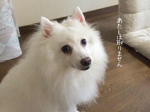 {AB0E36B1-B429-4617-A9A7-60811BDB6387}