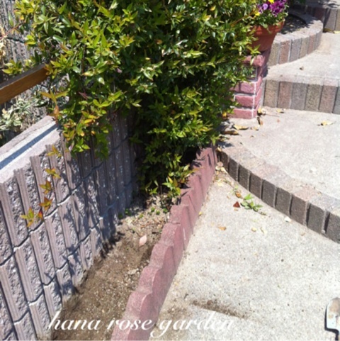 photo:02