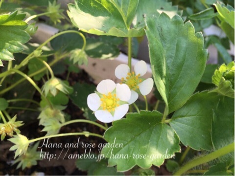 {3266DD68-B535-416B-BA45-95493E9CA90F:01}