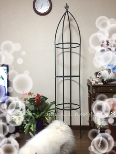 {13D68D70-4771-4C46-8DFF-91322B328074:01}