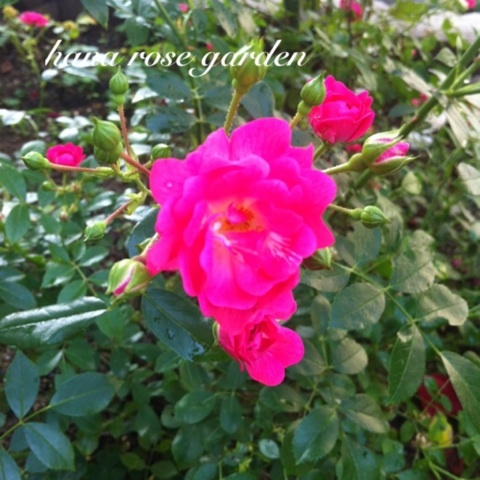 photo:02