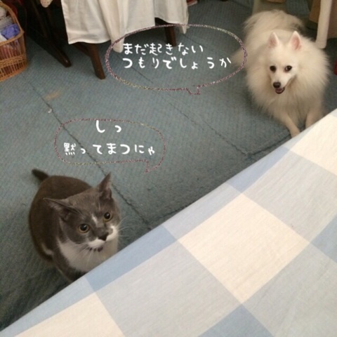 {098A474B-B612-4493-B975-5753699D995C:01}