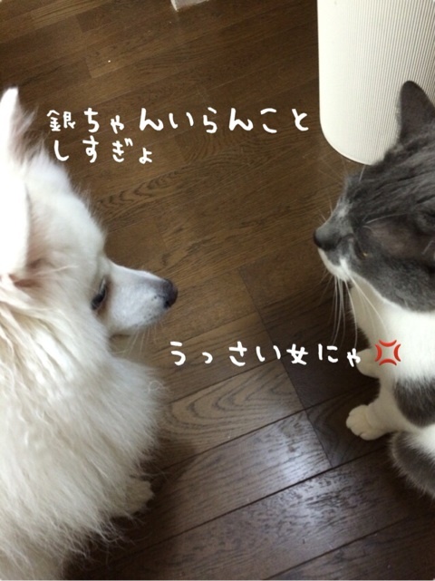 {304FD1F0-29E4-4764-86E3-68A97A329BBD:01}