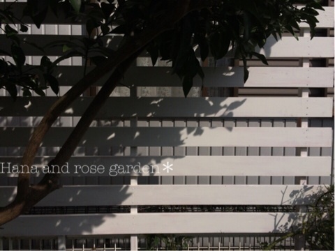 {7D9BF408-6C49-4169-AF38-D207E71F6E93:01}