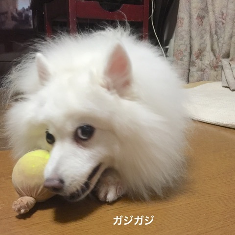 {C269EF8F-9411-46A3-AB27-694C8679B310}