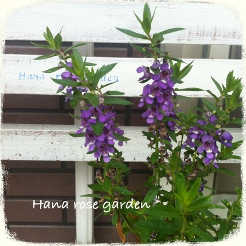 {8735BA0C-FD51-43BB-90D4-3F6B488A1EA3:01}