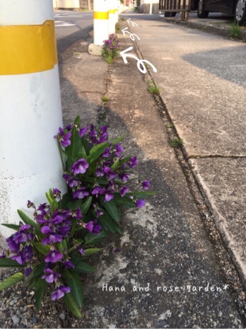 {4D228CCE-ABD4-48C8-A716-86F2D81CC1ED:01}