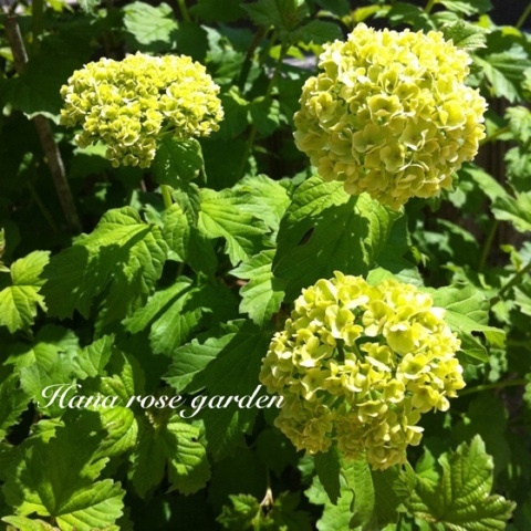 photo:07