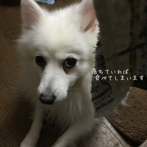 {2913A06D-9830-4A21-AF82-D647243C4FC7:01}