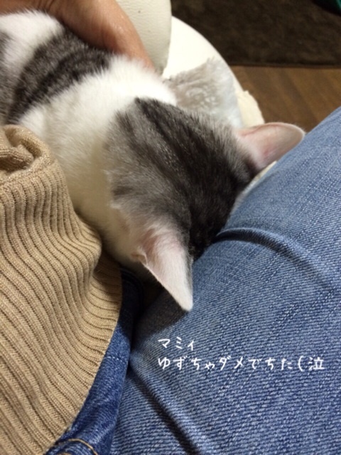 {E71EC23A-4B82-4D70-94DB-E4139906345B:01}