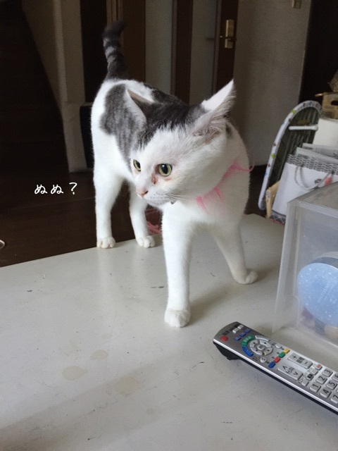 {0D811138-9EF4-4927-B4BD-868AFFCC2212}