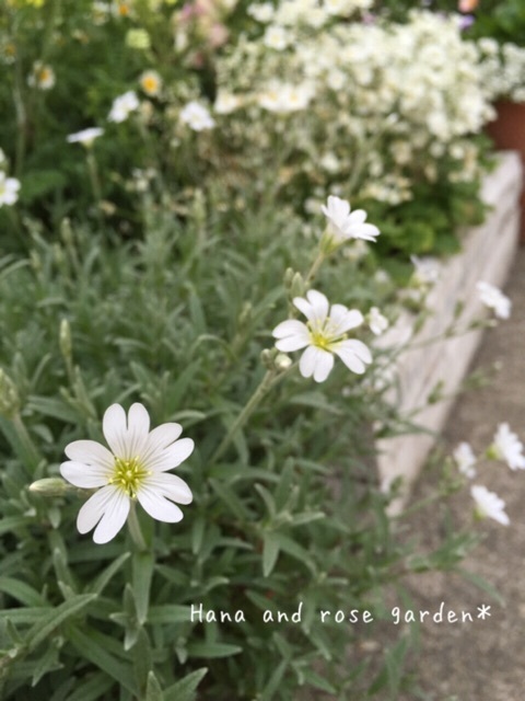 {58F5C838-FD09-460F-BB87-95AE3246BC7A:01}