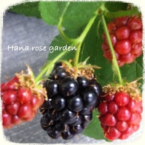 {88A3A716-1EAB-47D5-8B73-62815DAD6AA4:01}
