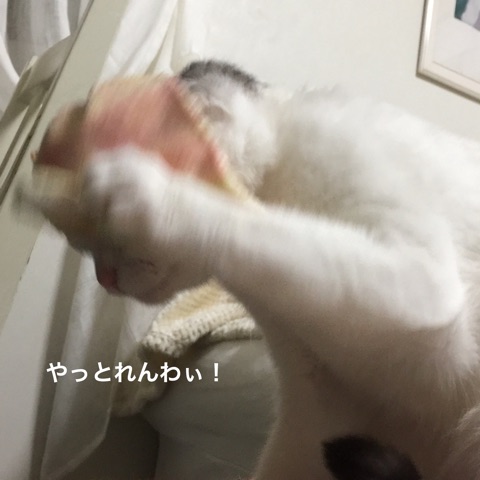 {F18BE198-C791-4803-911F-CA66804A747F}