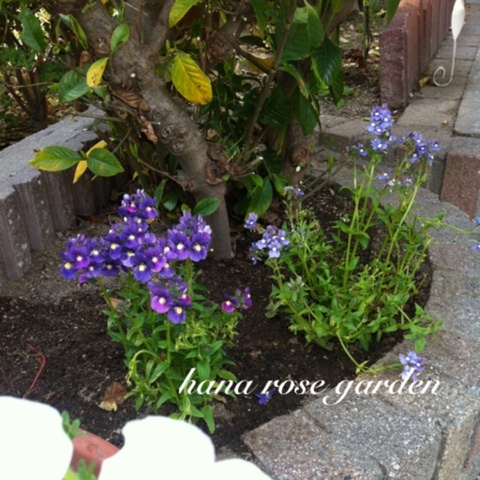 photo:04