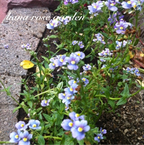 photo:05