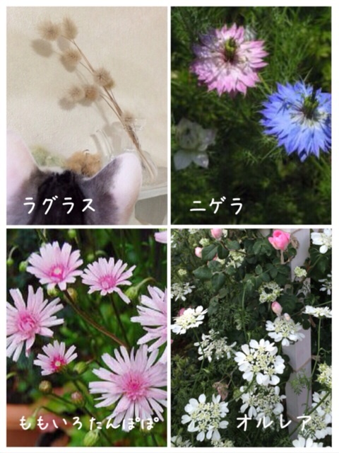 {BAE7943B-71AB-483E-9149-E214C1C287BD:01}