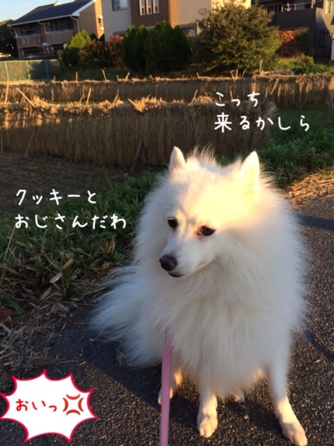 {69FB5354-6495-43C1-8A05-C72F58A01DFC:01}