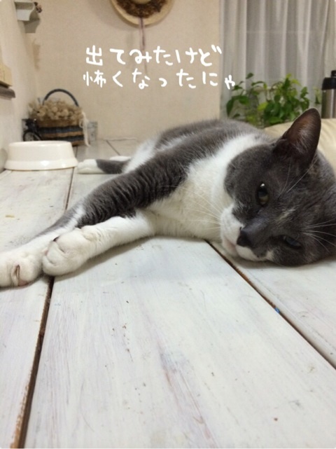 {0E8D4E06-8C44-479B-B315-5D9B026829C6:01}