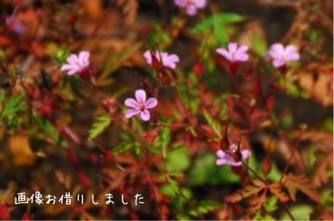 {6DA2C4DD-4E9A-4960-B99E-638B0B81AB08:01}