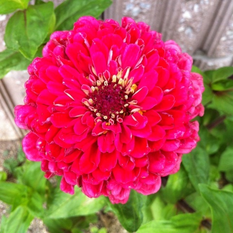 photo:01