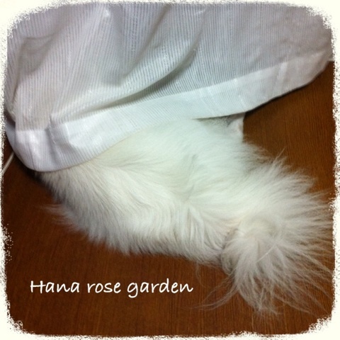 photo:03