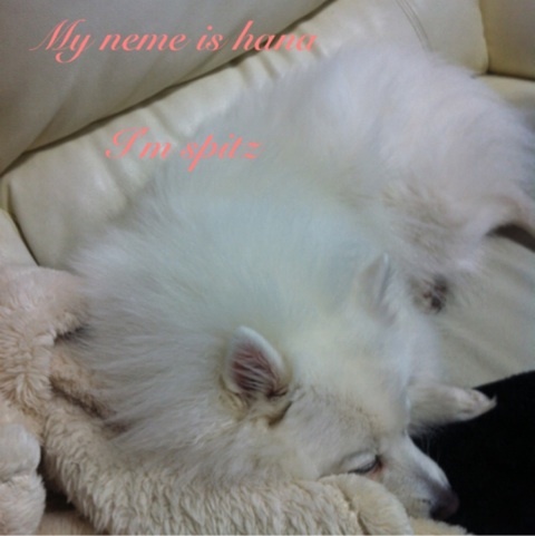 photo:04