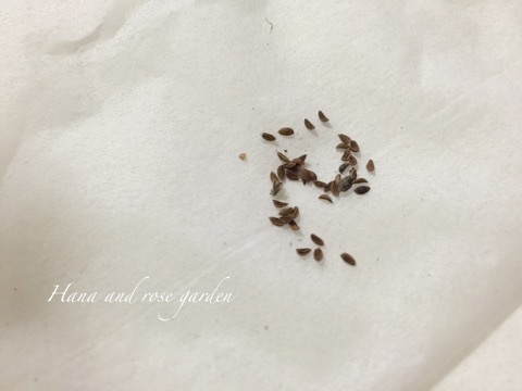 {00A13D36-4375-4A76-B7FC-84FF0C75564A}