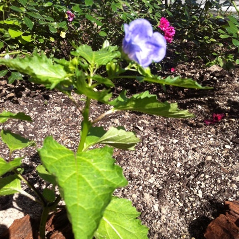 photo:04