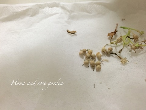 {97390F11-A93D-4479-985A-CE10EA7E283B}