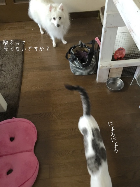 {F7EA9D1A-2214-4E71-8732-14DB1BF07C03:01}