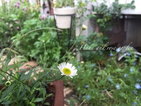 {C9039174-8231-4DC8-AD1D-ADA30315E55A}