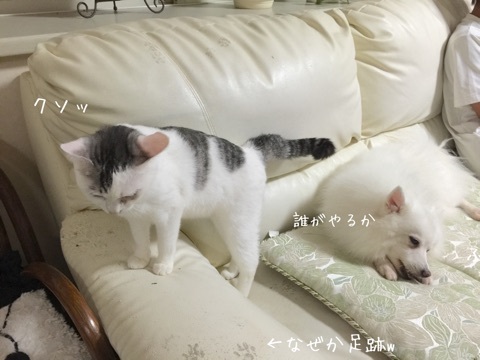 {9AB4739A-8E4C-4402-BB5C-BDC6AE2D2E85:01}