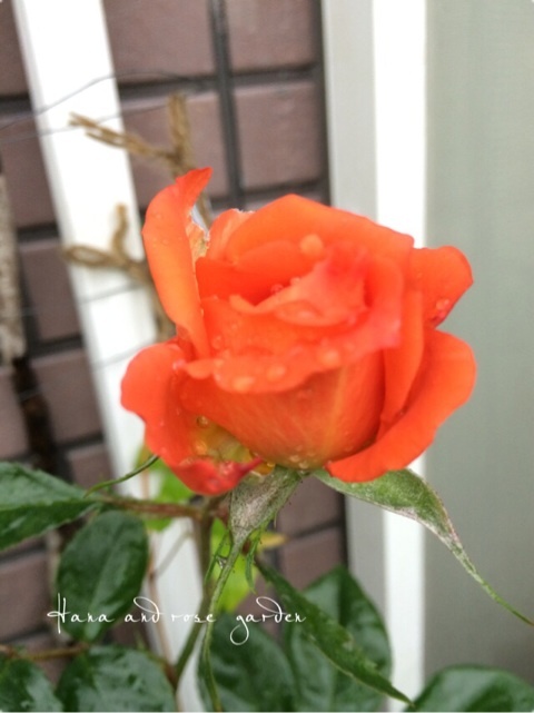 {EF451080-EFAD-4248-956D-44FB8593212A:01}