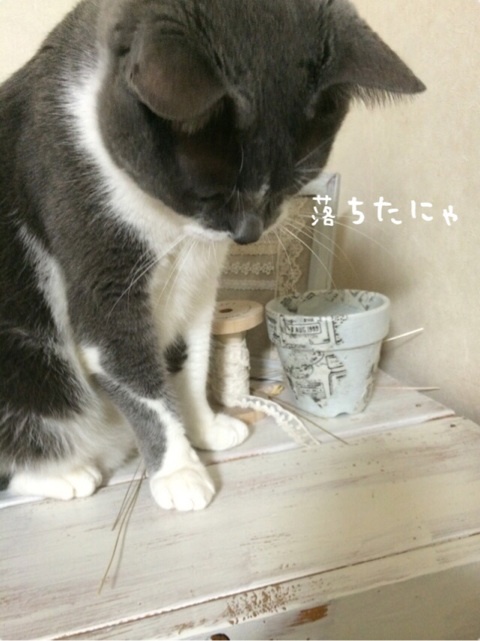 {766ECEF4-6BA1-4C40-A8C3-9588F6ACEDBC:01}