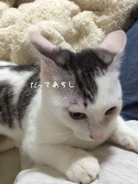 {3D690CB9-3A95-4D56-B61B-C4D26F9ACD9A:01}
