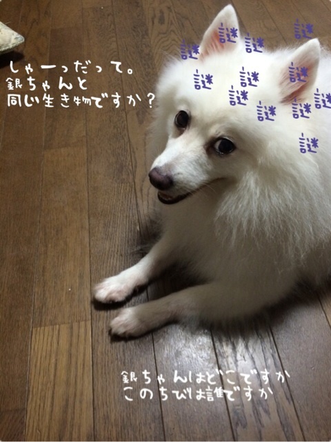 {E9561A36-F98A-4982-8F68-B40B137D1066:01}