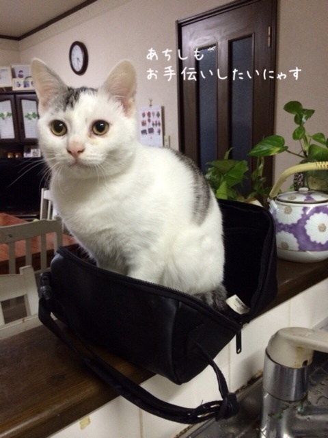 {CE0994A1-29EC-41CC-85AB-478B82432CEC:01}