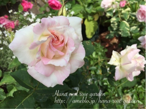 {DDE73DFC-6F7D-453A-B89D-D3DF5EE12170:01}