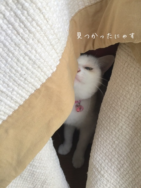{6AE954FD-BB49-4A67-A60D-A0F90322224A}