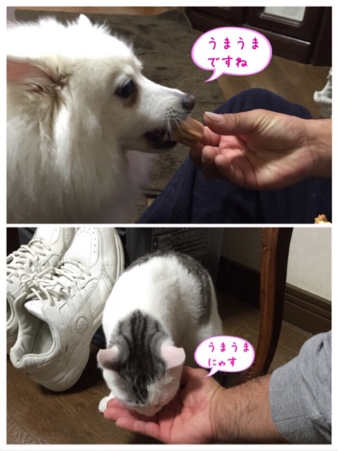 {4D6A8F38-2B8F-4F67-9ACD-426AE65D7949:01}