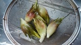 茗荷