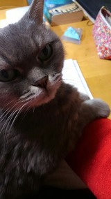 モニカさん