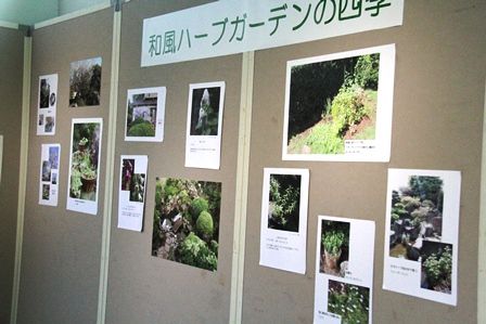 ④IMG_3491