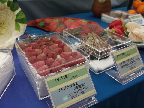 今週②